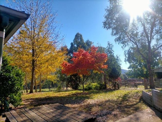 Riverbend Homestead Bright